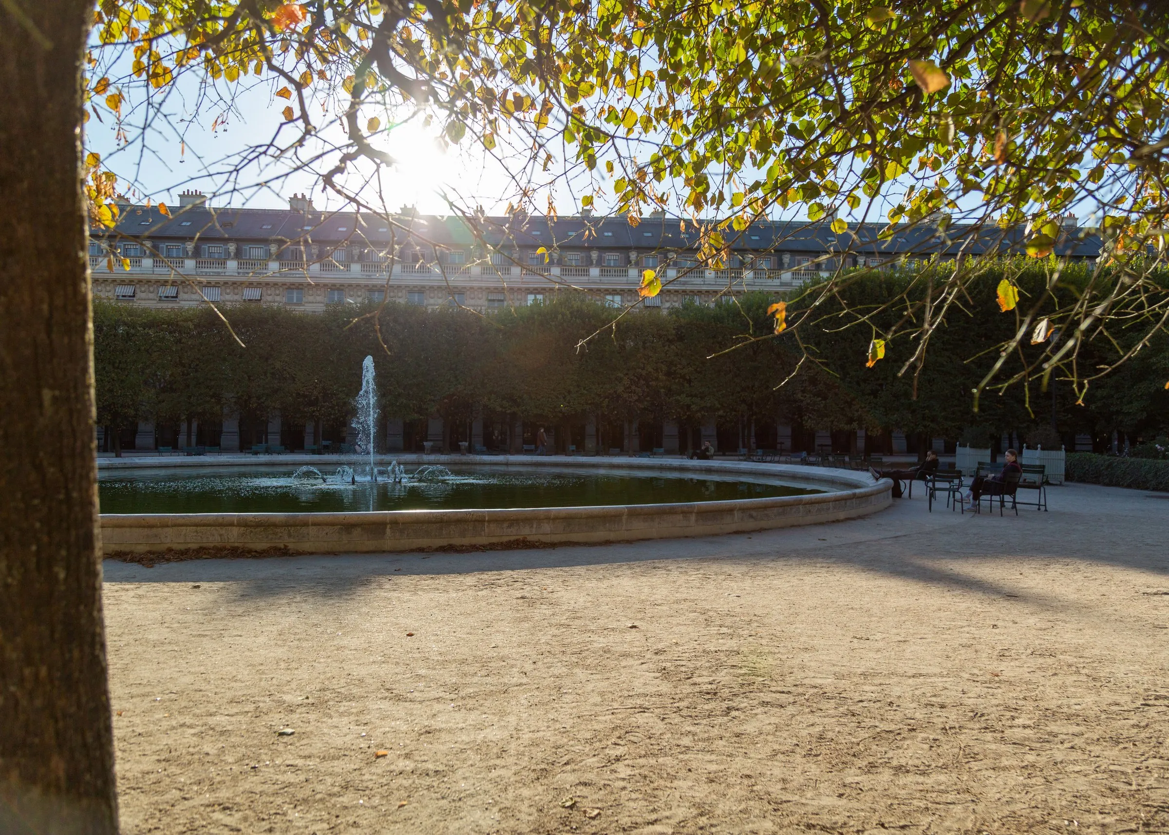 The Palais-Royal fountain through the first autumn leaves