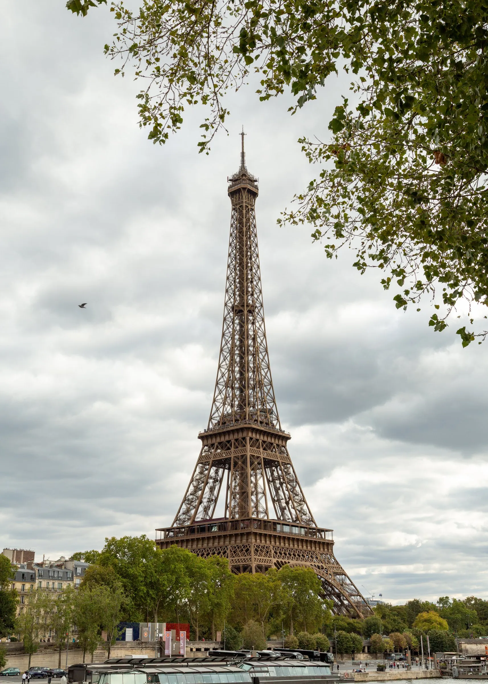 The tower framed by plane trees across the river