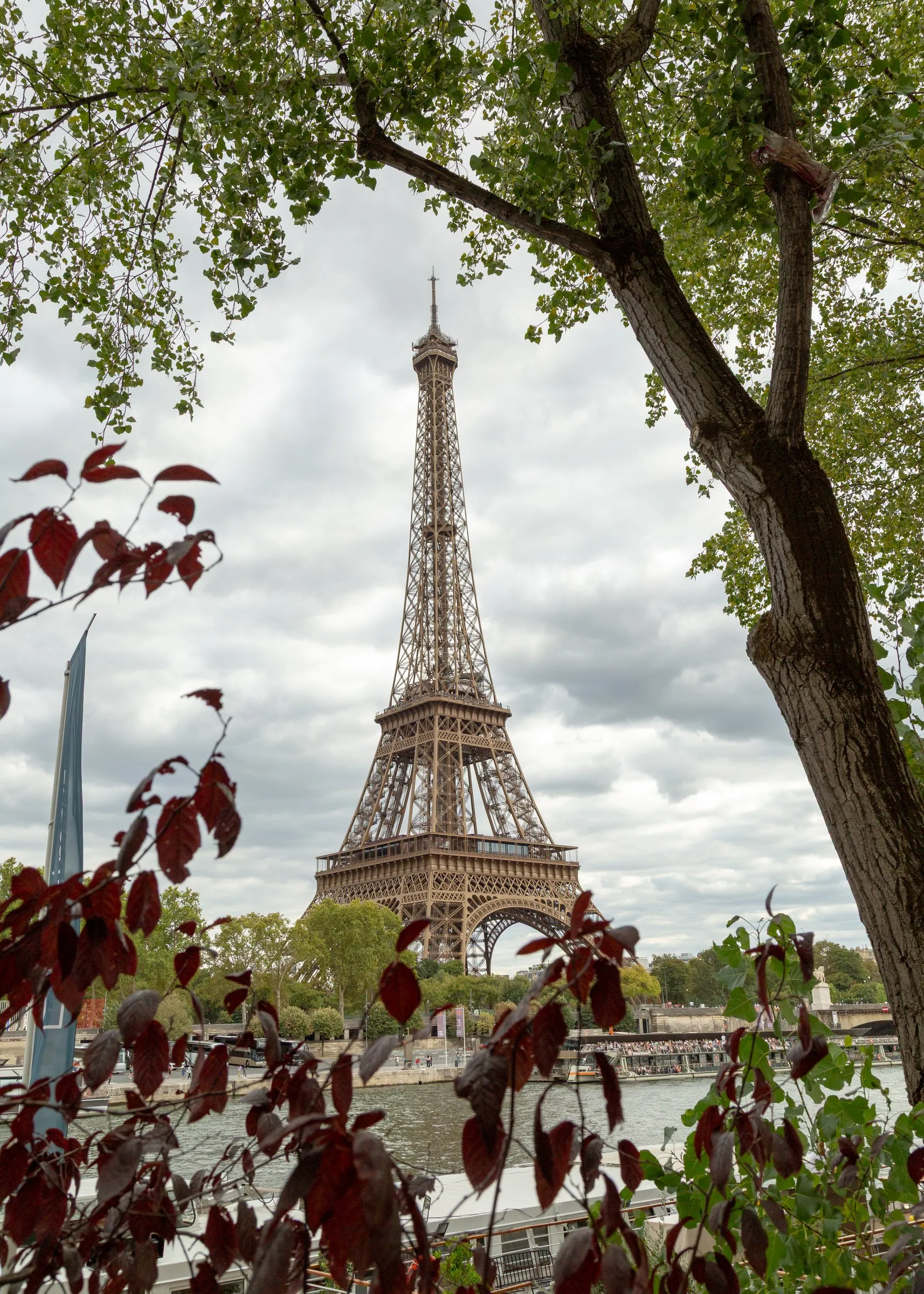 Leaves and branches framing the tower