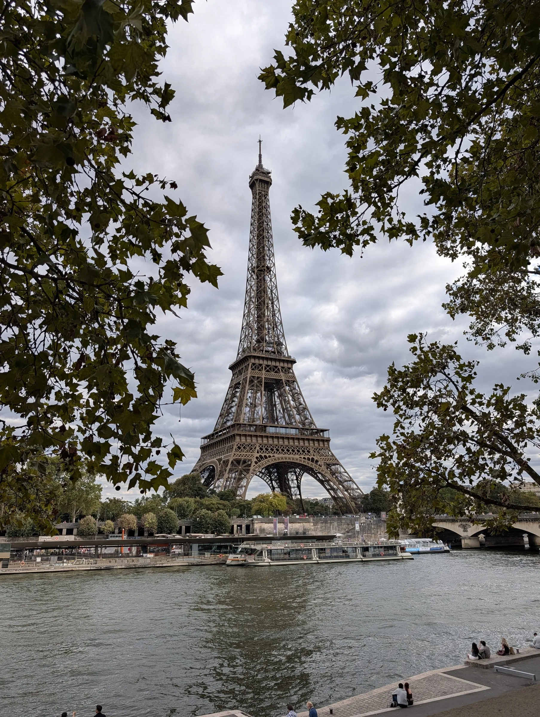 Framed by plane trees across the Seine