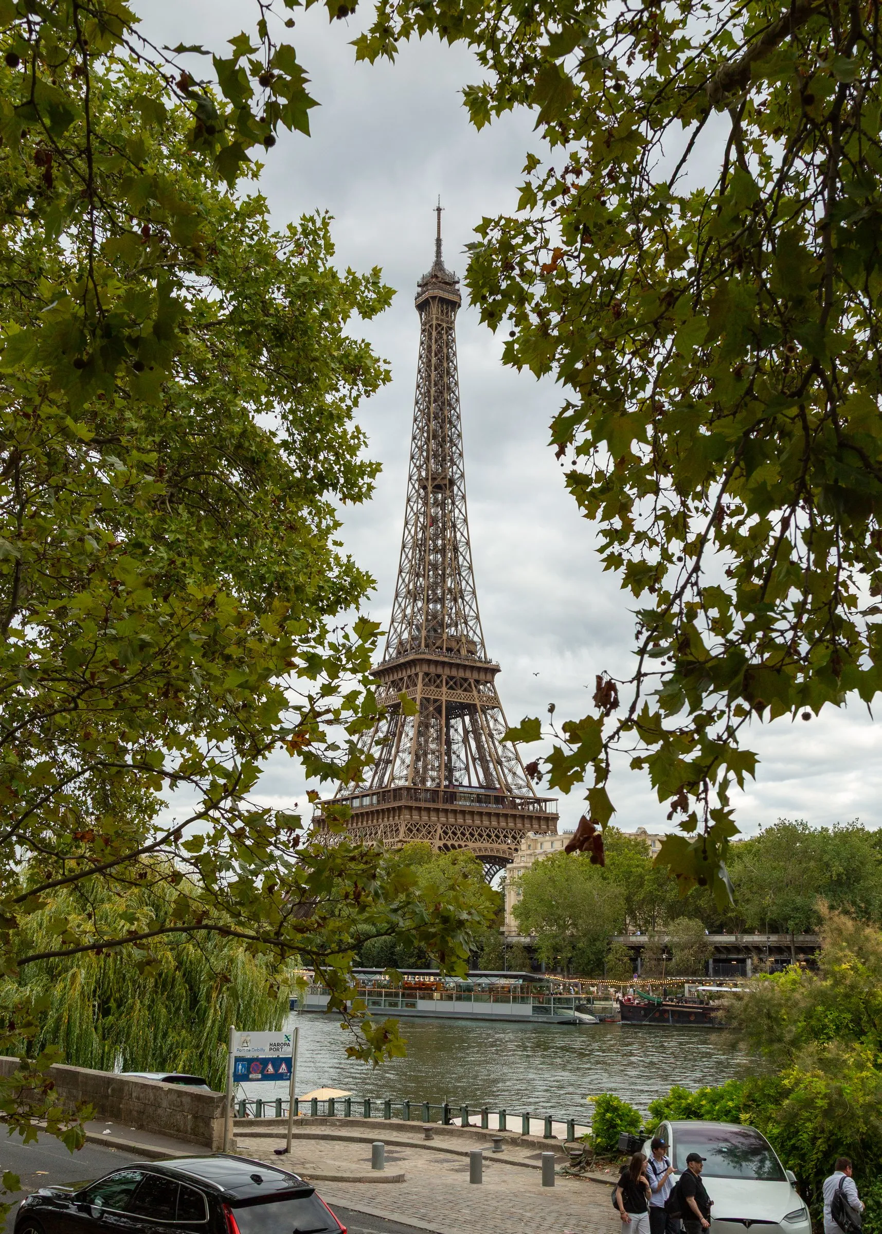 The tower above the trees by the river