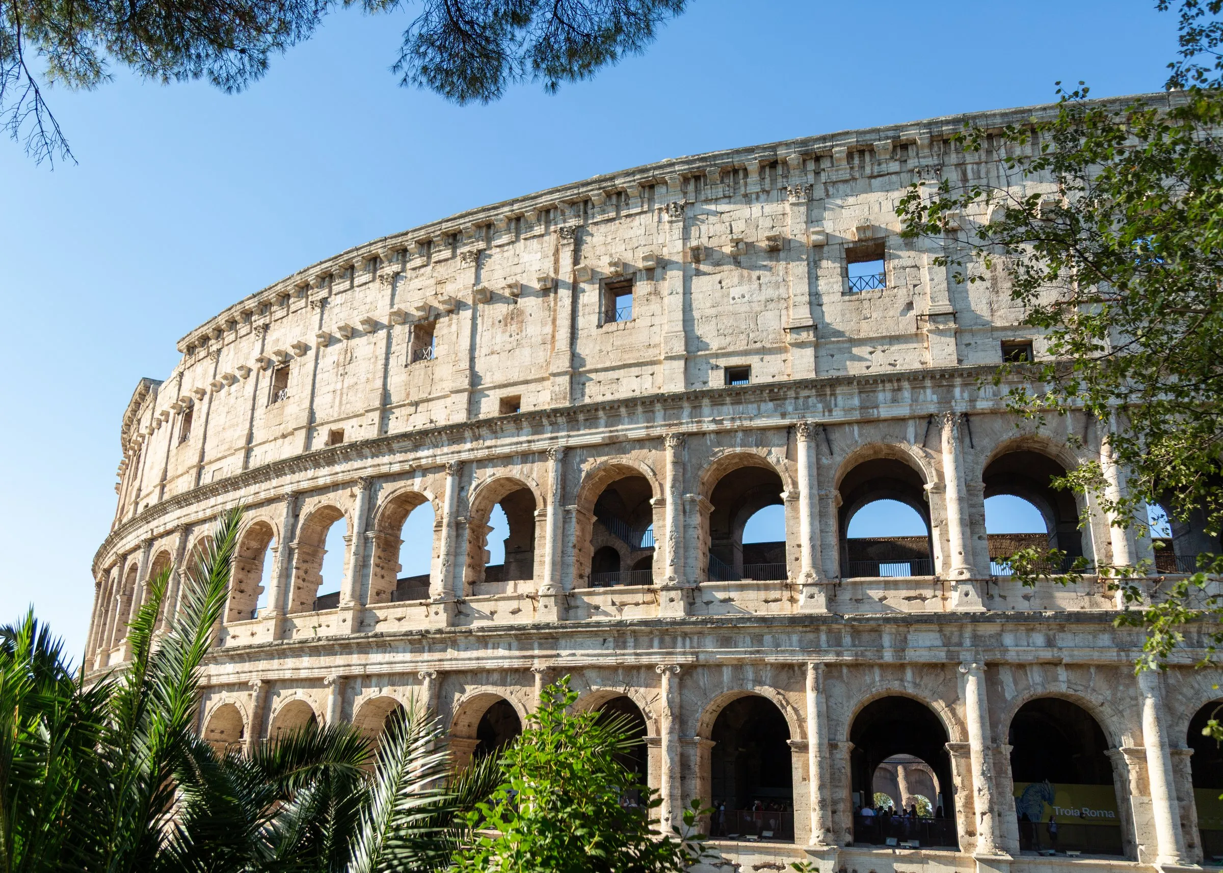 The Colosseum framed by palms