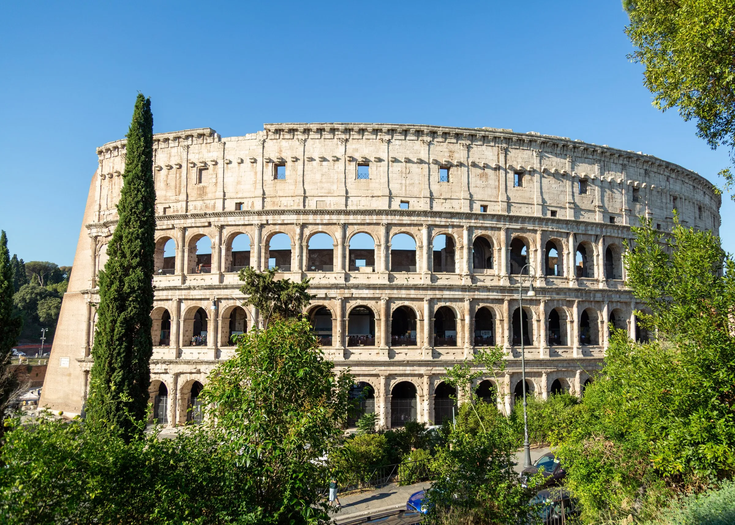 The Colosseum behind a cypress