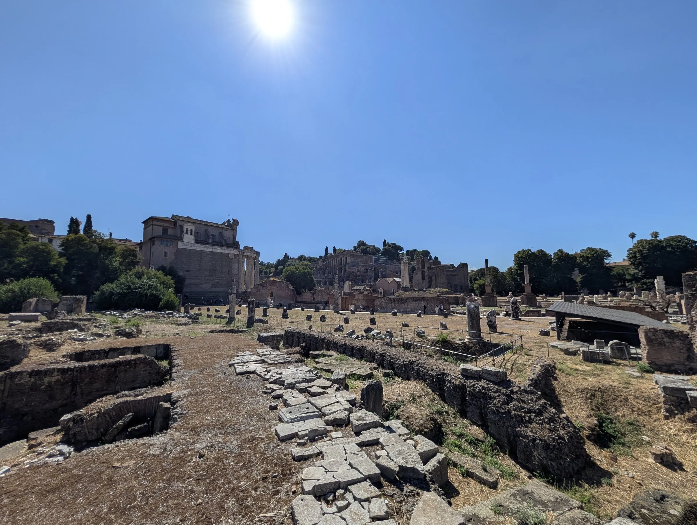 Walking the Roman Forum