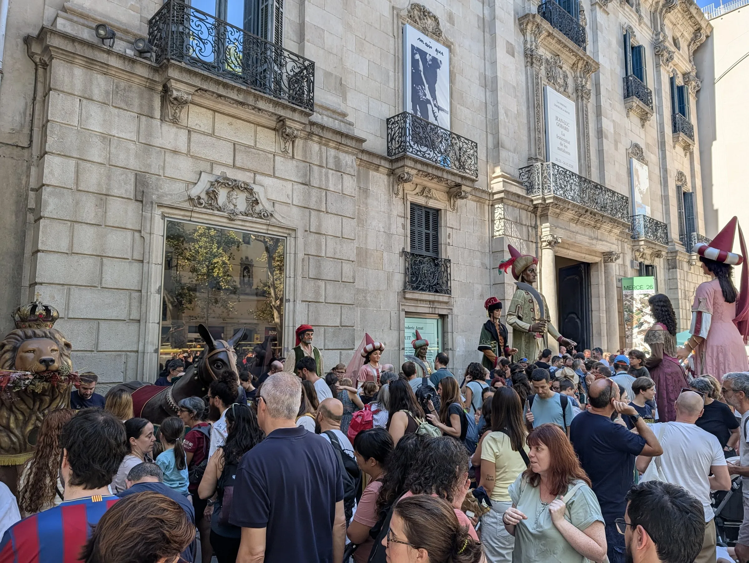 The gegants (festival giants) on display