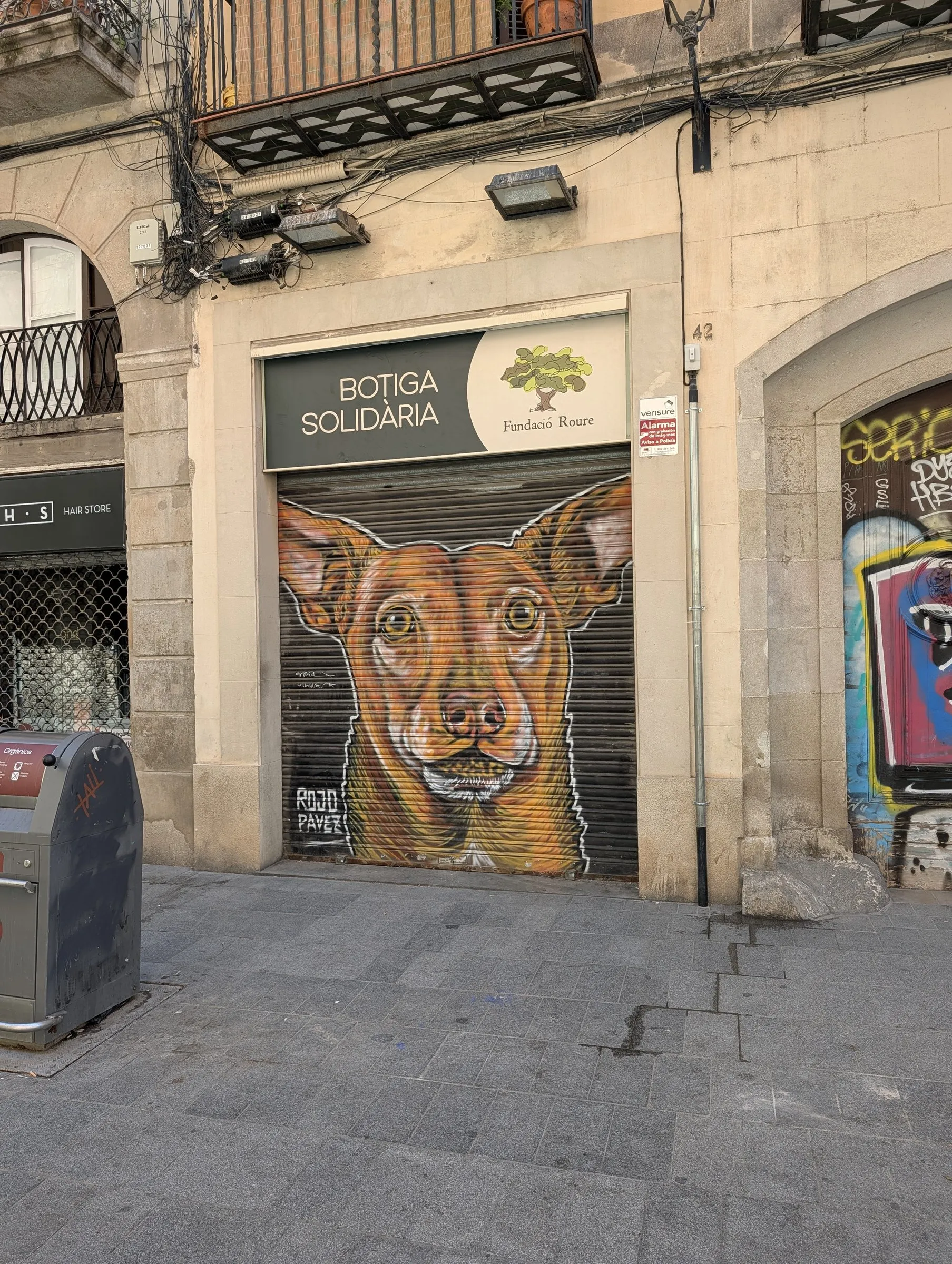 Painted shutter: the dog at a Sant Pere charity shop