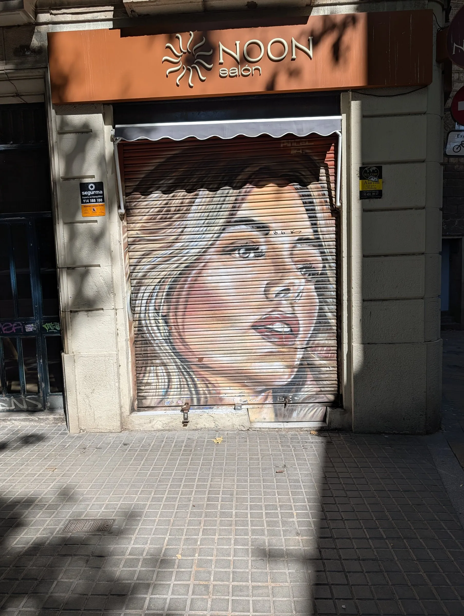Painted shutter: a portrait on a salon