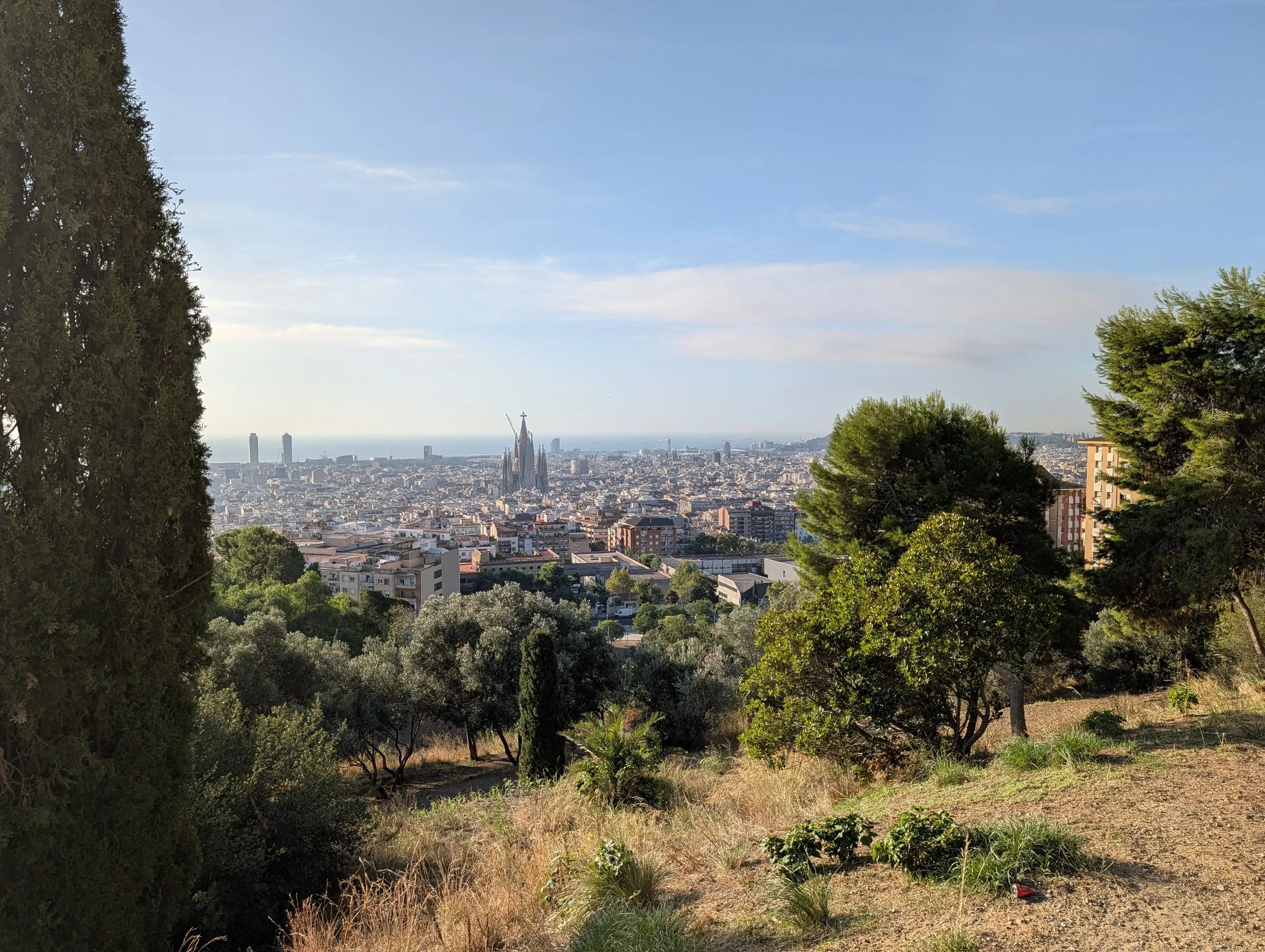 The Sagrada Família rising out of the city