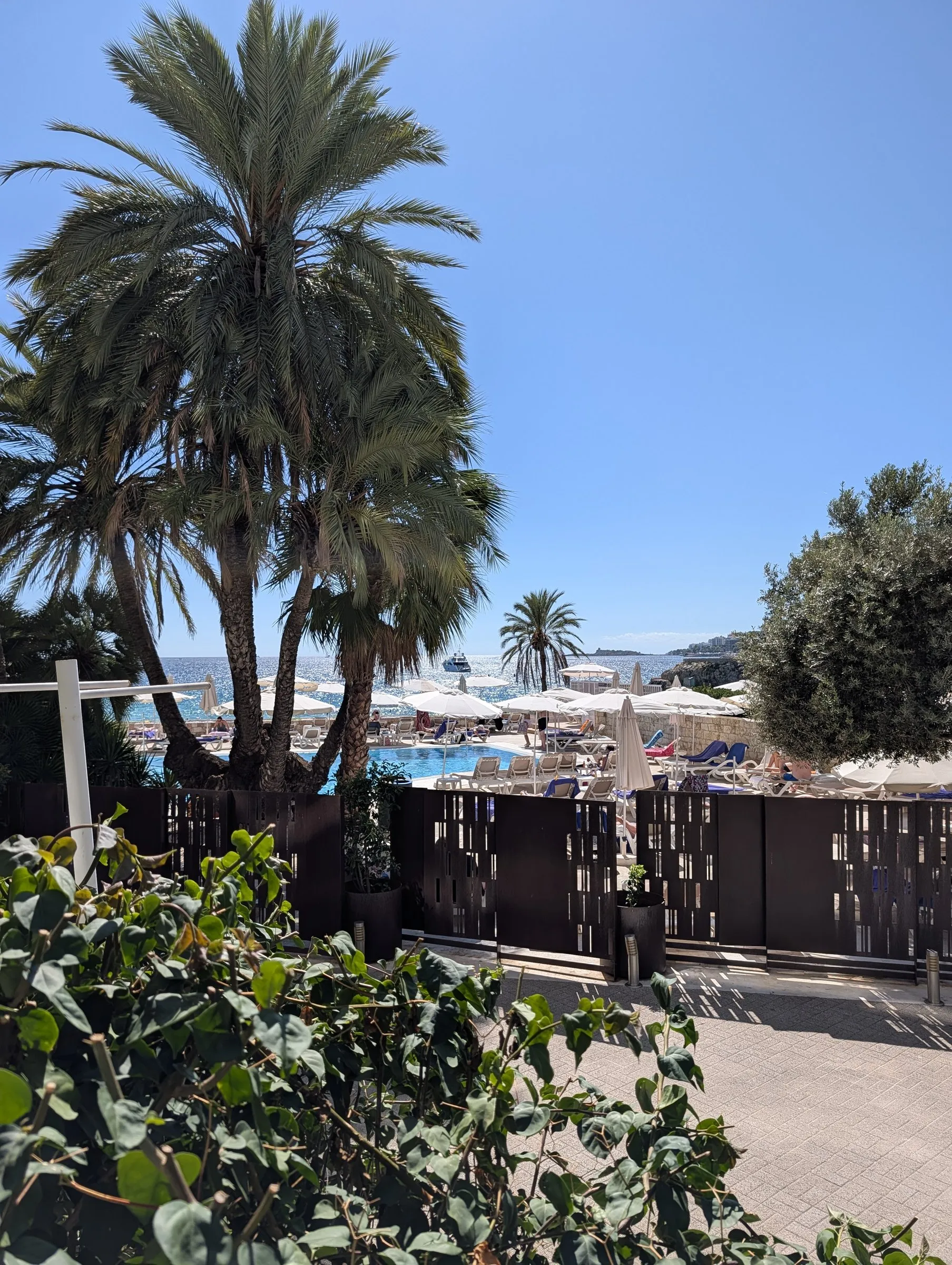 Be Live Marivent: the pool, the palms and the sea beyond