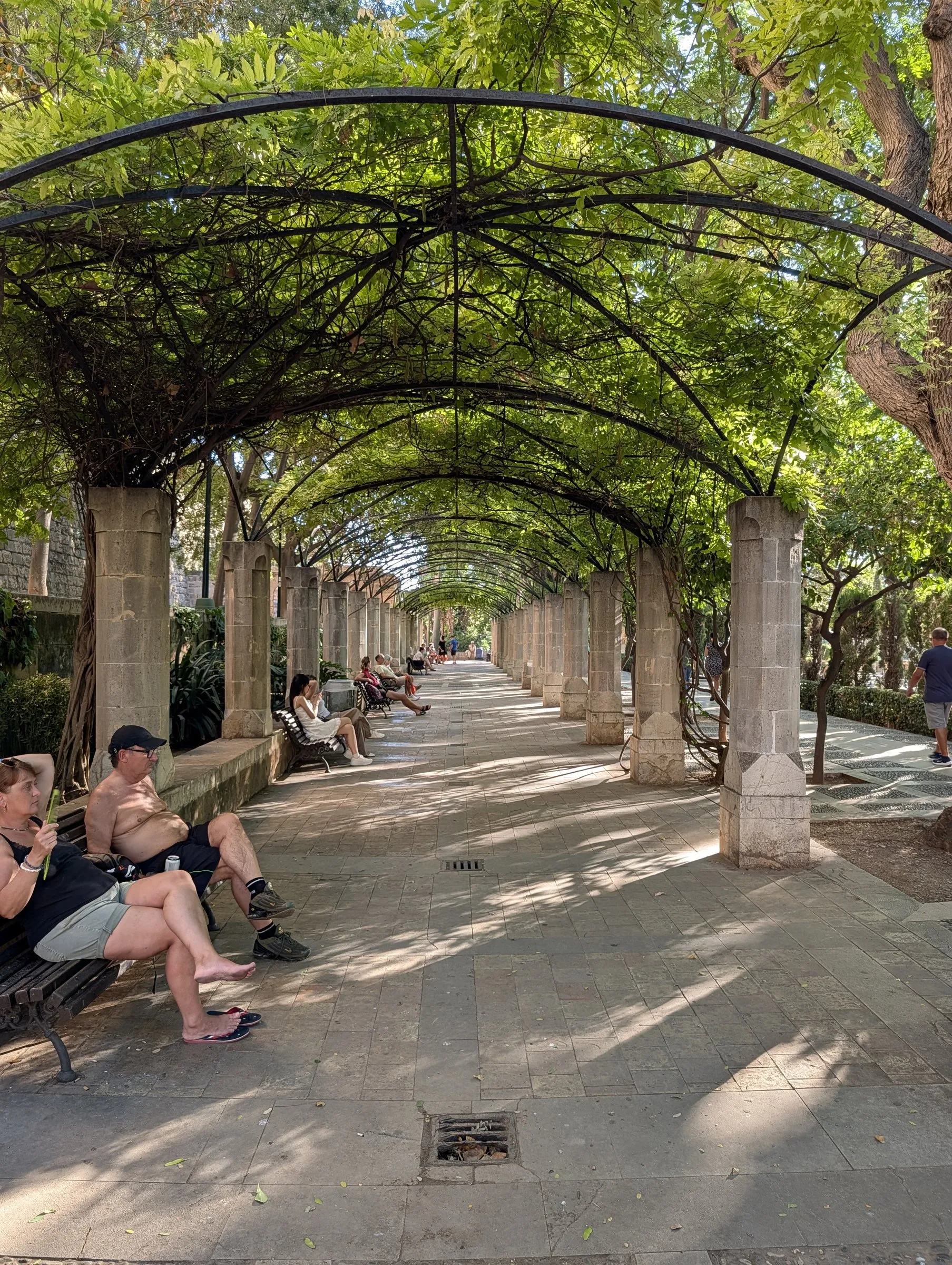The pergola walk in S'Hort del Rei
