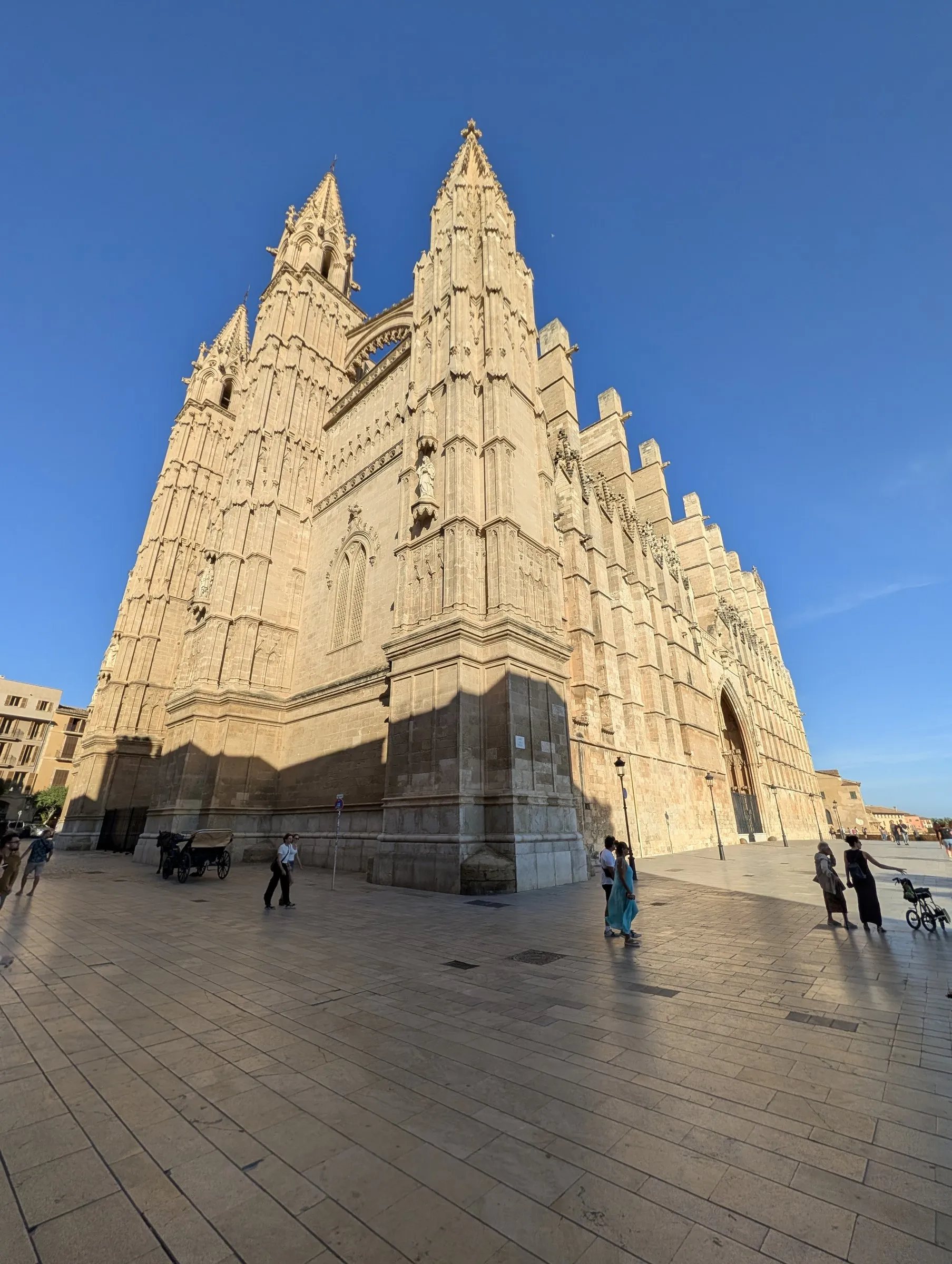 La Seu, Palma's cathedral