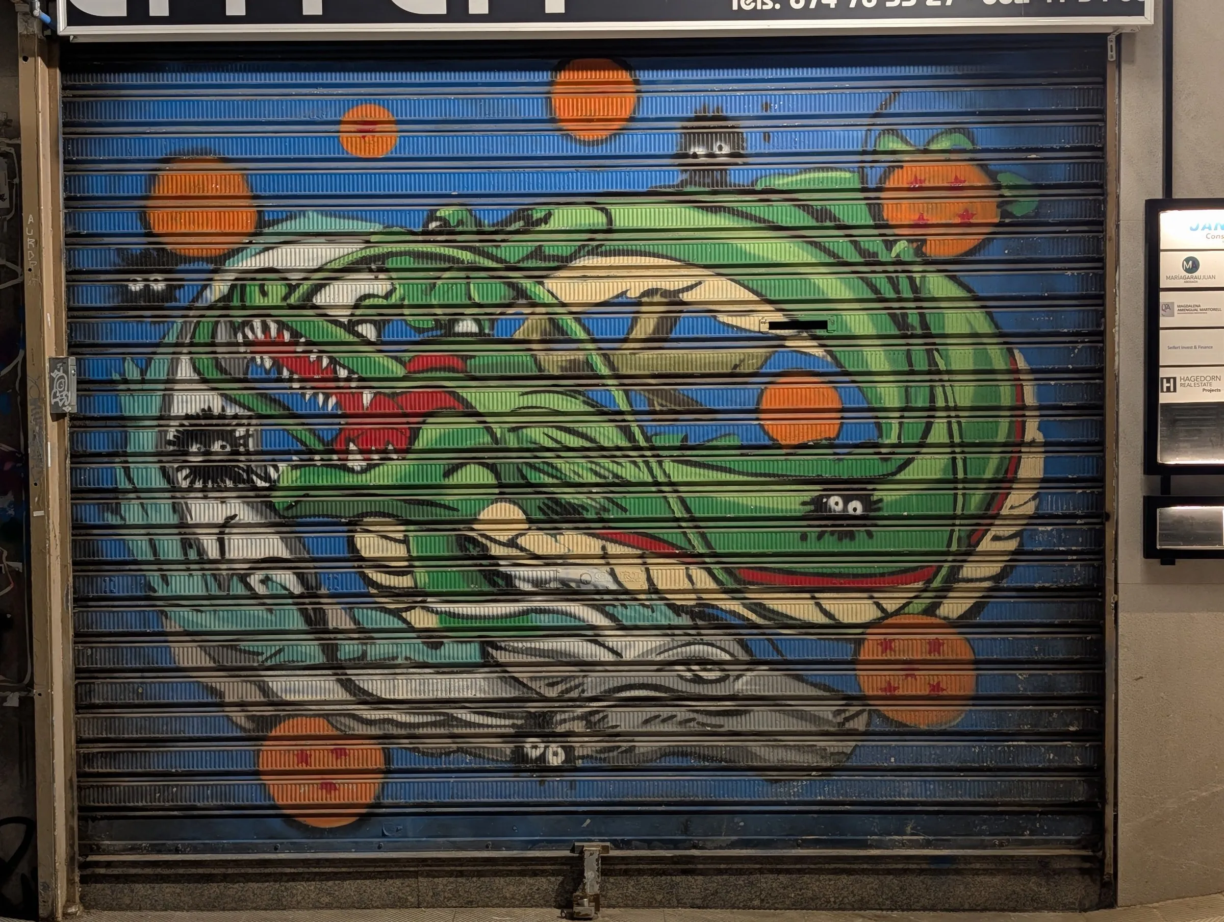 Painted shutter: a dragon