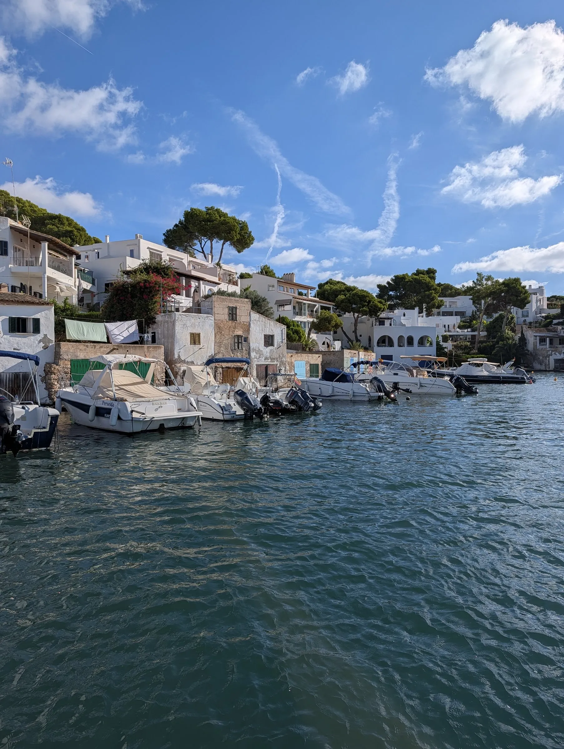 Cala d'Or's white houses from the water