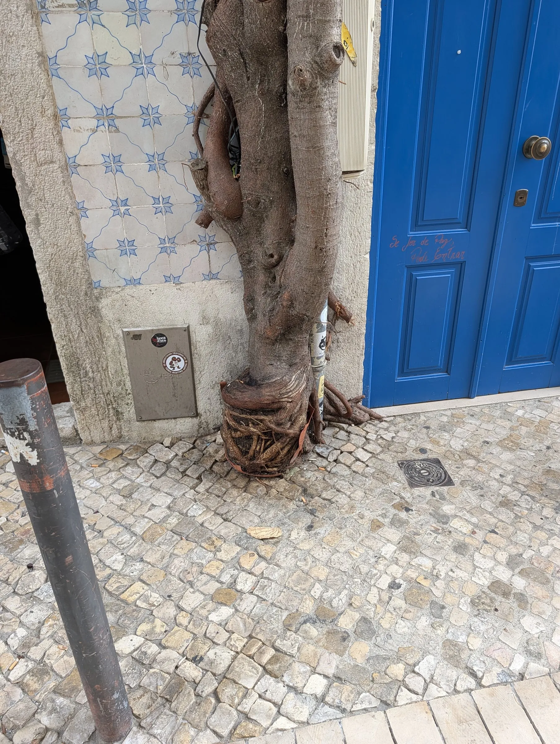 Tiles, cobbles and a blue door
