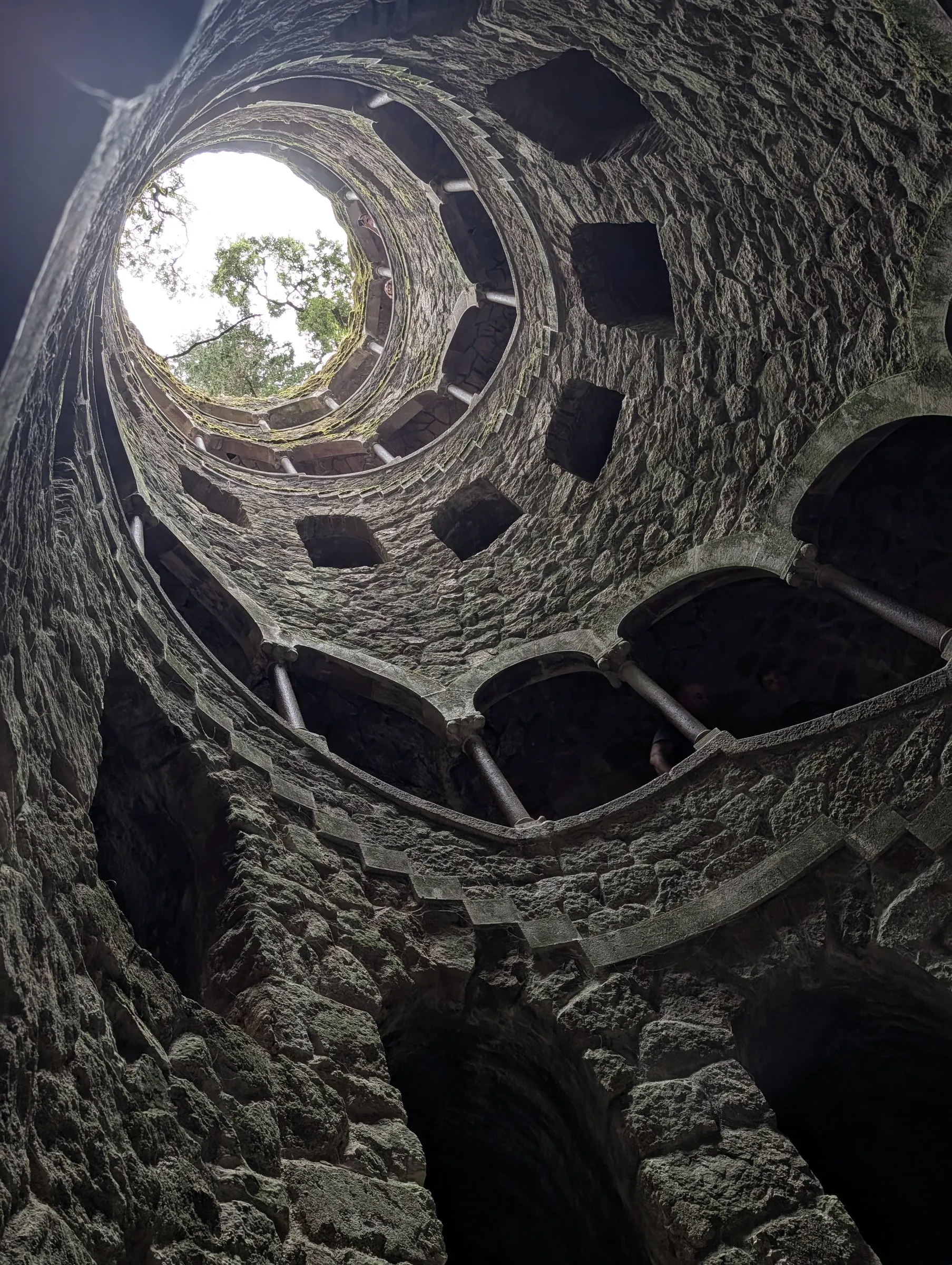 Looking up from the bottom