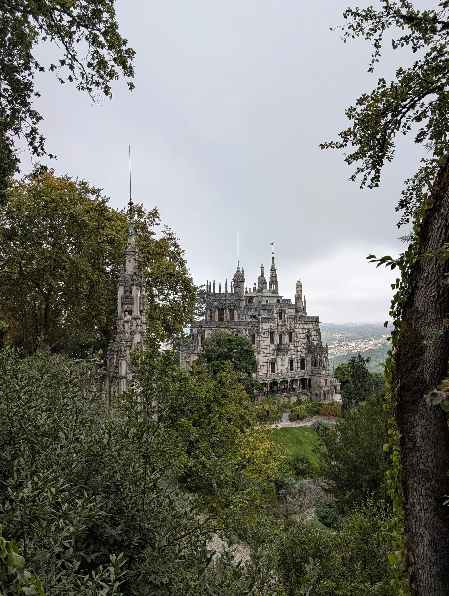 The palace through the trees