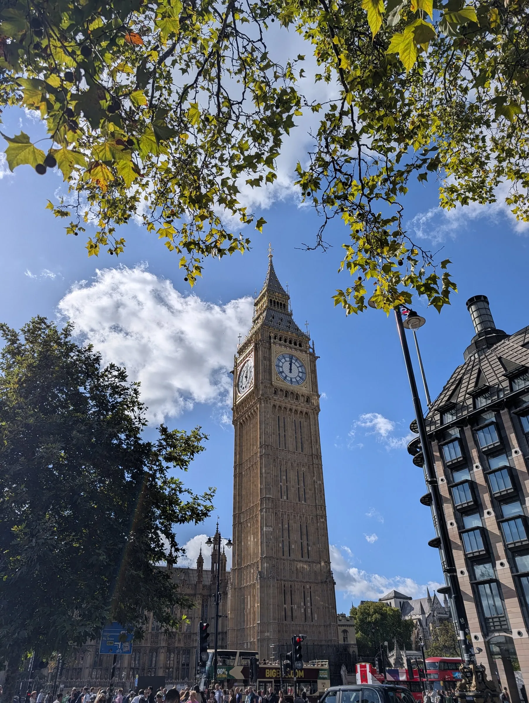 Big Ben through the trees