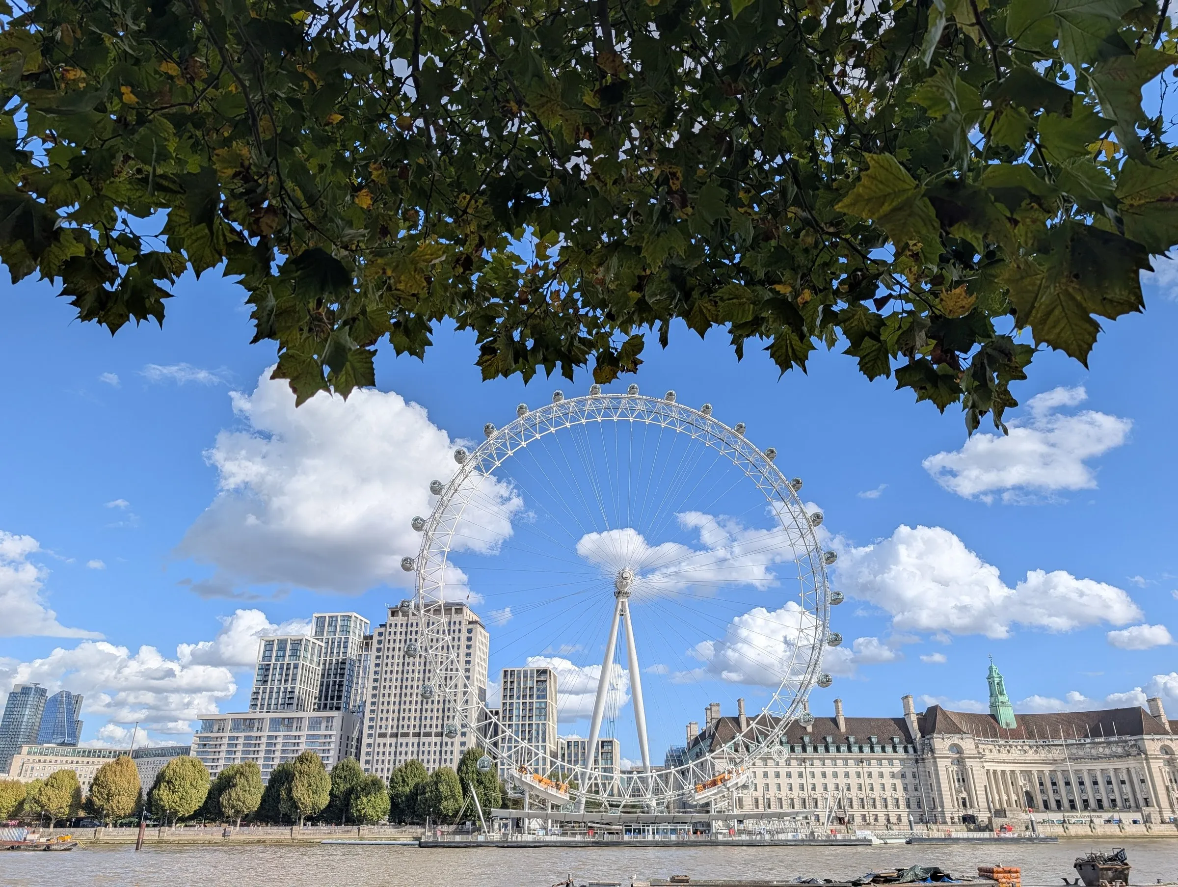 The London Eye from across the river